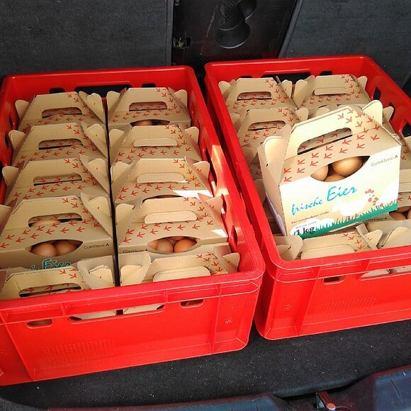 Der Bio-Erlebnishof Betz_verpackte Bio Eier 2 rote Kisten mit gefüllten Eierschachteln
