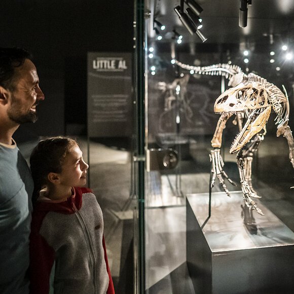 Ein Vater mit Kind schauen sich einen kleinen ausgestellten Dinosaurier in einer Vitrine an.