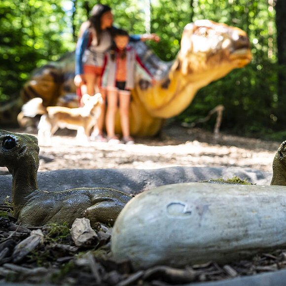 Im Außengelände des Dinosauriermuseum Denkendorf beobachten Kinder die ausgestellten Dinosaurier.