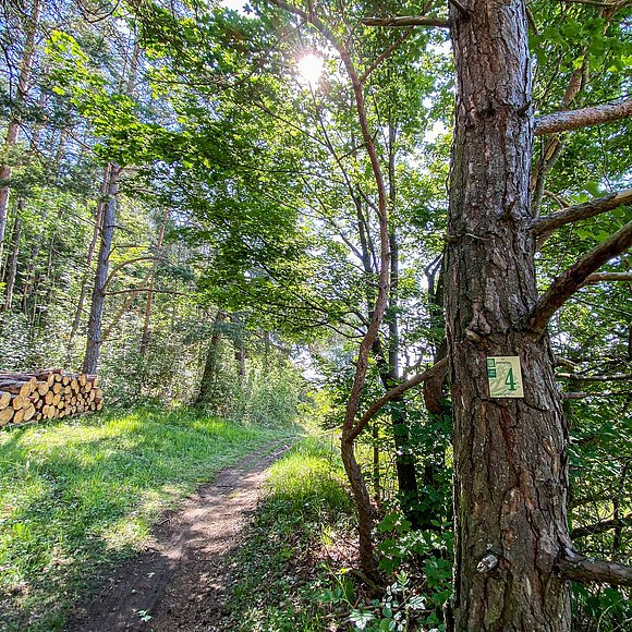 Rundwanderweg ab Beilngries