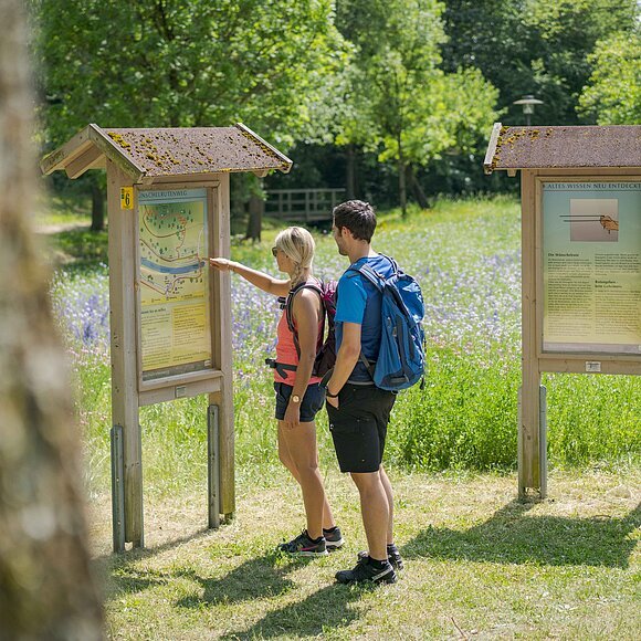 Blumengarten am Wünschelrutenweg