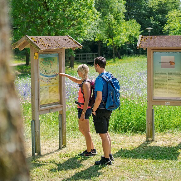 Blumengarten am Wünschelrutenweg