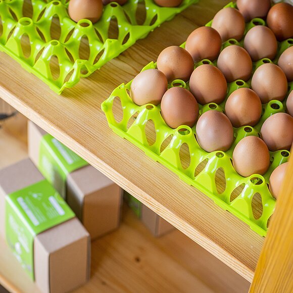 Eier in Palettenschachteln