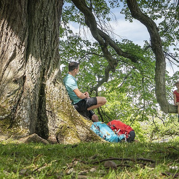 Mann sitzt am Baumstamm, Frau sitzt auf Ast, zwei Rucksäcke liegen auf Gras unter Baum.